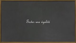 Calcul littéral : tester une égalité