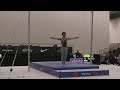 junnosuke iwai still rings 2024 elite team cup