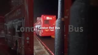 London Red Bus Adventure: Exploring the Heart of the City