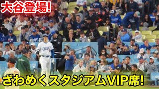 大谷登場でVIP席が！ざわめくスタジアム！現地映像