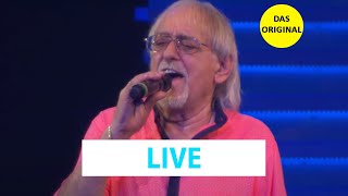 Amigos - Elvis lebt in meinen Träumen (Live in Kirwiller 2019)