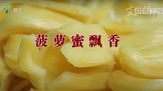 中国菠萝蜜之乡阳东,菠萝蜜变身十二道美味【文化珠江美食篇】粤语
