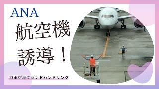 ANA　マーシャリングのすべて　航空機誘導方法