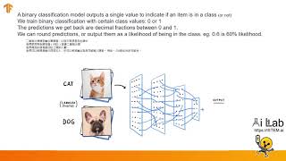 8. Introduction Binary Classification (Machine Learning in JavaScript with TensorFlow.js)