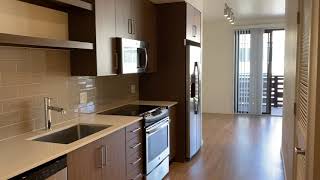 A1a floor plan: Studio, 547 sqft