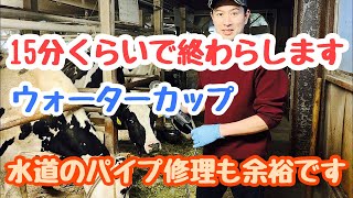 酪農 水道パイプ 修理 最短20分 簡単余裕‼️自分でやればお金要らない。ポリエチレン2層官 塩ビパイプ DIY ホルスタイン Plumbing repairs  VAB WRX Sti CB1100