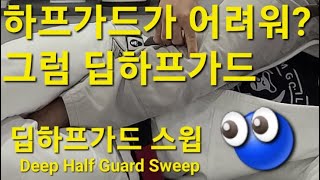 딥하프가드 스윕 Deep Half Guard Sweep (기술도움 : 김태운) #딥하프가드 #DeepHalfGuard