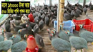 তিতির পাখি পালন করে ১৫০০০০ টাকা আয় মাসে - তিতির পালন পদ্ধতি ও আয় ব্যয় - Guinea Fowl Farming