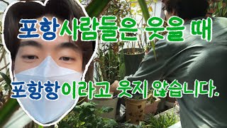 [#Vlog] 포항 사람들은 웃을 때 포항항이라고 웃지 않습니다.