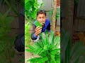 এটা এত স্বাদ ক্য 😜 foryou tending funny shortvideo