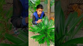 এটা এত স্বাদ ক্য 😜 #foryou #tending #funny #shortvideo