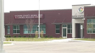 Saginaw Co. animal shelter using grant funding to help homeless pets