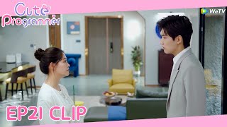 Cute Programmer | Clip EP21 | Li resigned from her job and divorced Jiang?!| WeTV [ENG SUB]