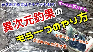 【太刀魚】異次元釣果のもう一つのやり方～光を制する者はタチウオも制す!～