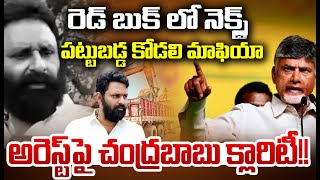 LIVE⭕-కోడలి అరెస్ట్‌పై చంద్రబాబు క్లారిటీ!! | CM Chandrababu | Kodali Nani Arrest? | CVR News