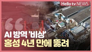 홍성 AI 발생...4년 만에 방역 뚫려