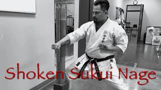 Shoken Sukui Nage #karate #uechiryu