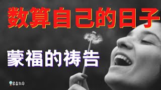 祷告力量大 48 【数算自己的日子】这祷告给了我很大力量，肯定你也一样  l 8分钟蒙福的祷告 l  装备生命