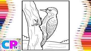 Woodpecker IPad Pro Coloring Pages/Wild Birds Coloring/Elektronomia - Sky High pt. II [NCS Release]