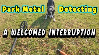 What's Hiding In Your Local Playground? Metal Detecting Adventure!