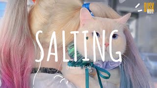 Salting remix cute DJ Topeng Dusk Music x Dangling Lyrics Tik Tok Song