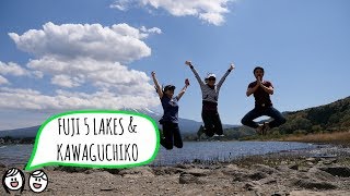 FUJI FIVE LAKES \u0026 KAWAGUCHIKO // 富士五湖 \u0026 河口湖 (Japan Travel Vlog)