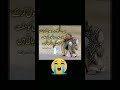 allah maf kry 🥺😭 respect crying shorts youtubeshorts