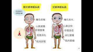 「癌症減壓心練習」心理健康衛教課程