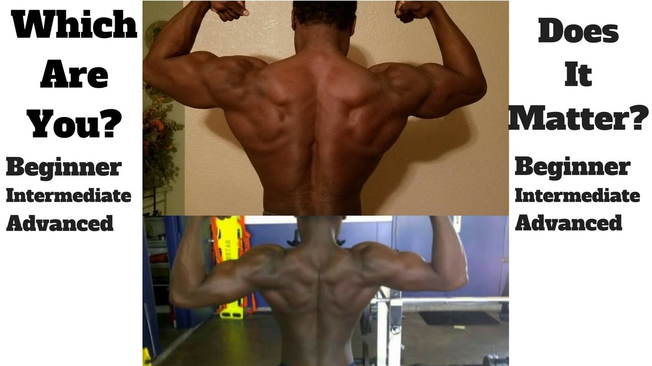 Intermediate Lifting Program Bodybuilding Eoua Blog