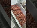 Crayfish processing production line #fish #seafood #seafoodprocessing #food #equipment