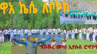 //ዋአ ኬሴ ለቦኮክ// የአቡሹራ መከነ ኢየሱስ ሮኆቦት ኳየር New Hadiysa Song Frehiwot Solomon Official