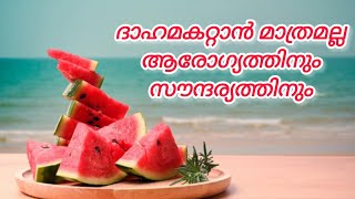 തണ്ണിമത്തൻ ഗുണങ്ങൾ #healthbenefits #watermelon #youtube #health #wateryfood