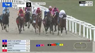 Gulfstream Park Carrera 9 ( The St. Augustine Handicap ) - 28 de Diciembre 2024