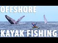 Offshore Kayak Fishing - Giants of the Pacific (CATCH CLEAN COOK) | Field Trips Panama