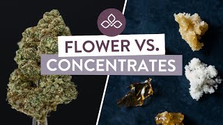 Cannabis Flower vs. Concentrates: What’s the Difference? | Central Ave Compassionate Care