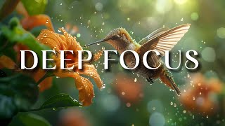 Deep Focus Music To Improve Concentration - 1 Hours of Ambient Study Music to Concentrate