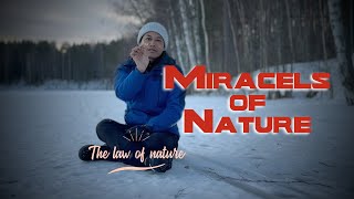 Miracles of Nature |  प्रकृतीको अद्भभुत्ता