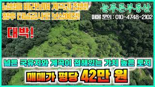 [매물번호 025] 가평군 상면에 위치한 계획관리지역 토지입니다. 계곡과 접해있으며 주변이 국유지로 둘러싸여있습니다 총 5,230평,  매매가 평당 42만원  [가평 늘푸른부동산]