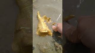 gold nugget extraction #golddetection