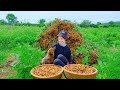 Harvesting Peanuts Goes To Market Sell - Cooking Peanut Milk, Taking Care of Your Dog | Tieu Lien