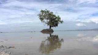 Bagan Datoh Perak