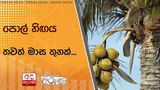 පොල් හිඟය තවත් මාස තුනක්...