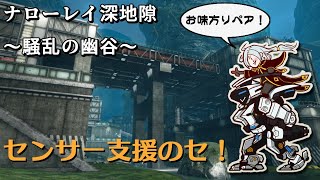 【ボーダーブレイク】ナローレイAでセン支解説！【センサー支援のセ #11】