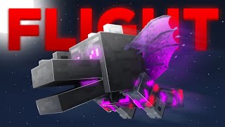 The Ender Dragon Set Made Me IMMORTAL.