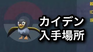 【SV】【速報】カイデン入手場所