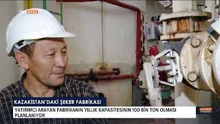 Kazakistan'da Şeker Fabrikası Yatırımcılarını Arıyor. TRT Avaz Haber 25.07.2022