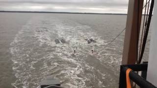 Oil \u0026 Gas Seismic Blasting, Cook Inlet, Alaska