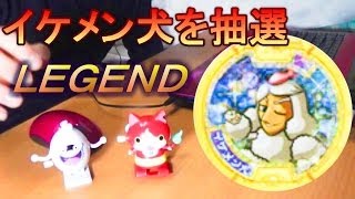 【イケメン犬】を狙え！レジェンドメダル当選！？妖怪ウォッチ