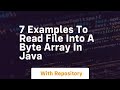 7 examples to read file into a byte array in java