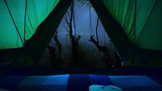 Instant deep sleep in a tent with continuous heavy rain and the sound of thunder in the forest